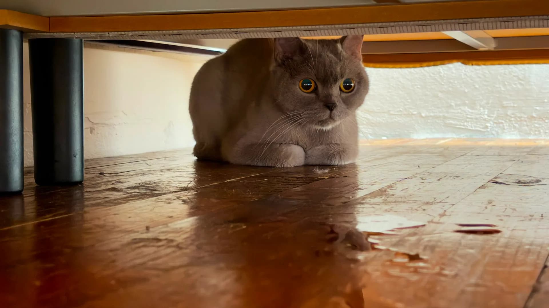 YUMAK fotoğraf 1