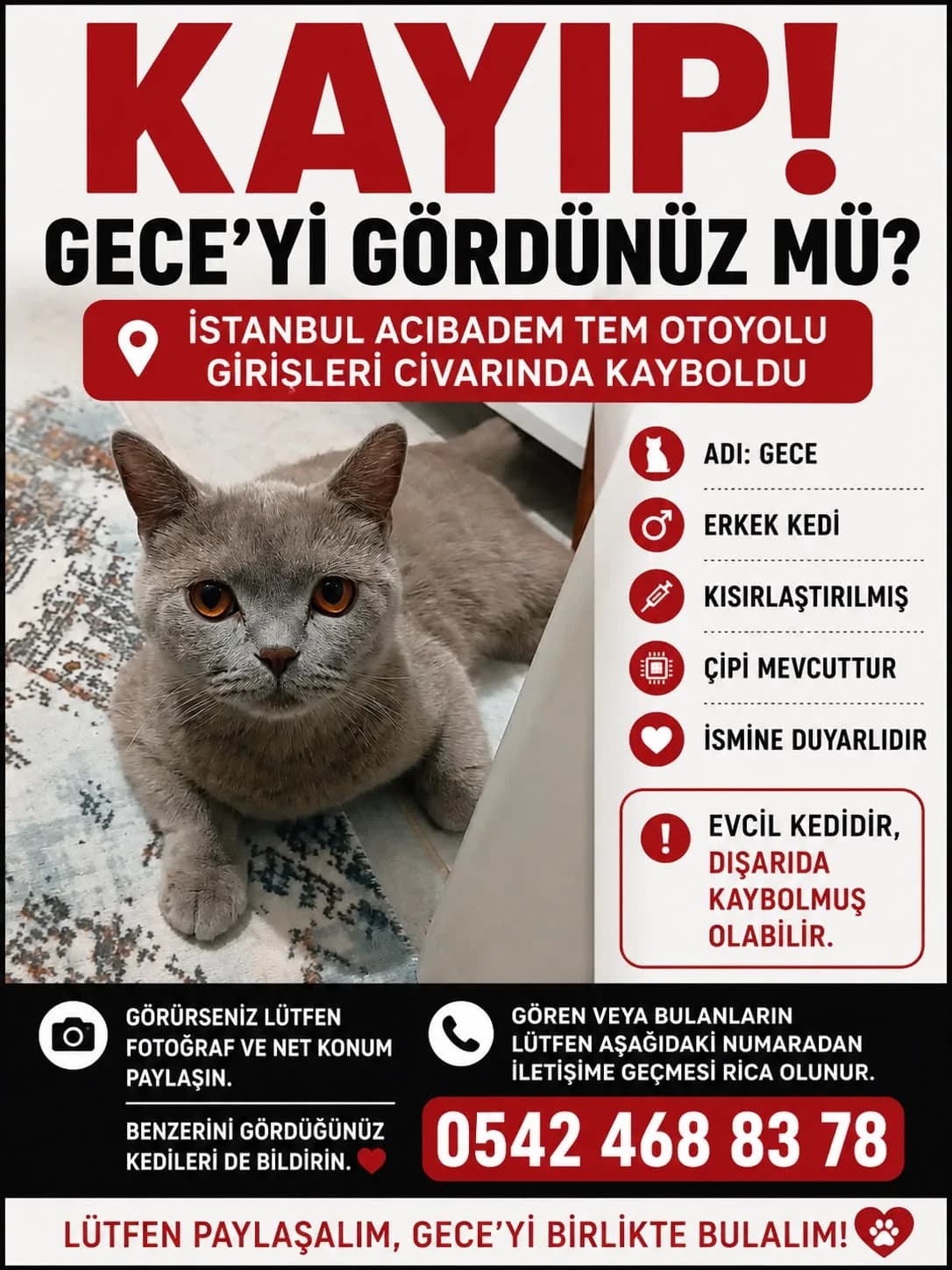 Gece fotoğraf 1