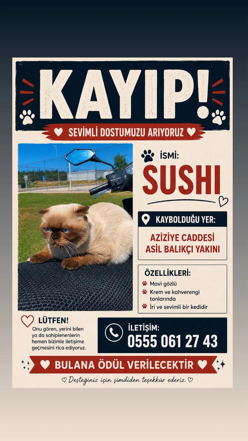 sushi fotoğraf 1
