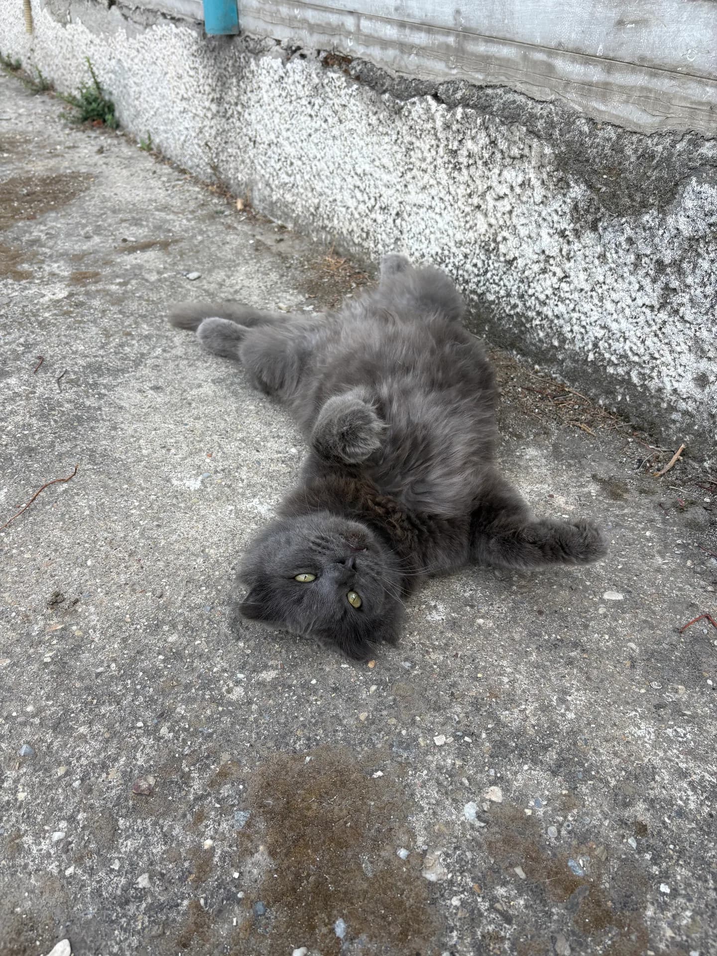 Duman fotoğraf 1