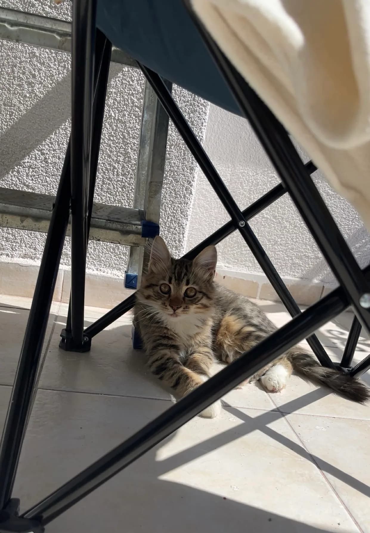 Badem fotoğraf 2