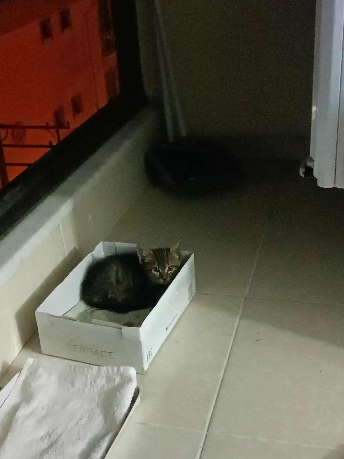 Pırtık fotoğraf 2