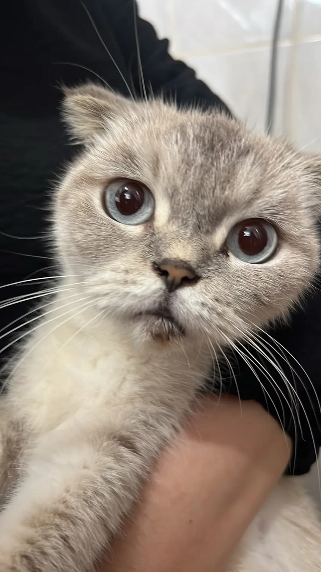 mia fotoğraf 1