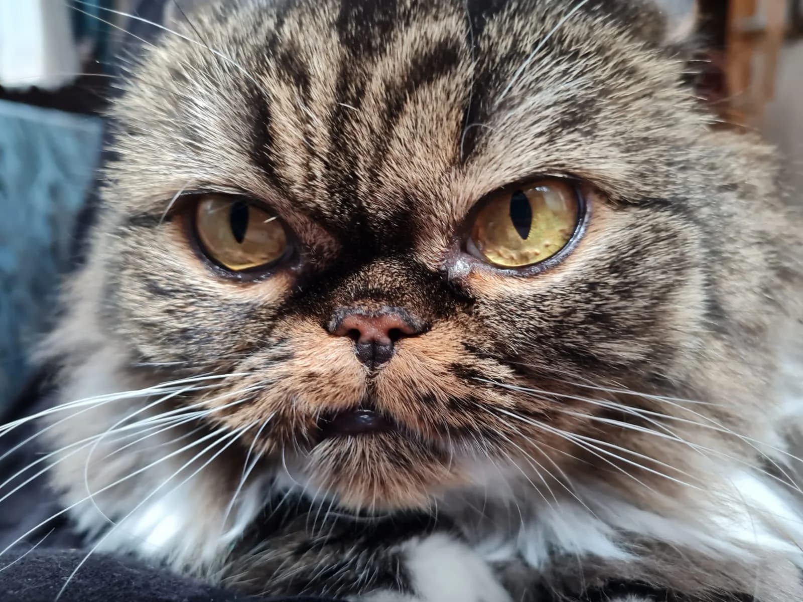 Boncuk fotoğraf 4