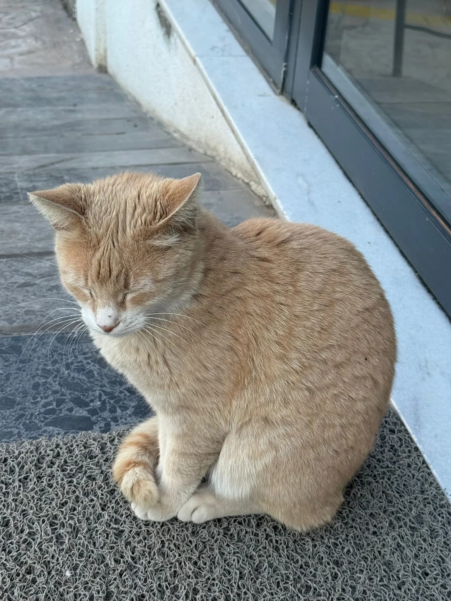 Valore fotoğraf 2