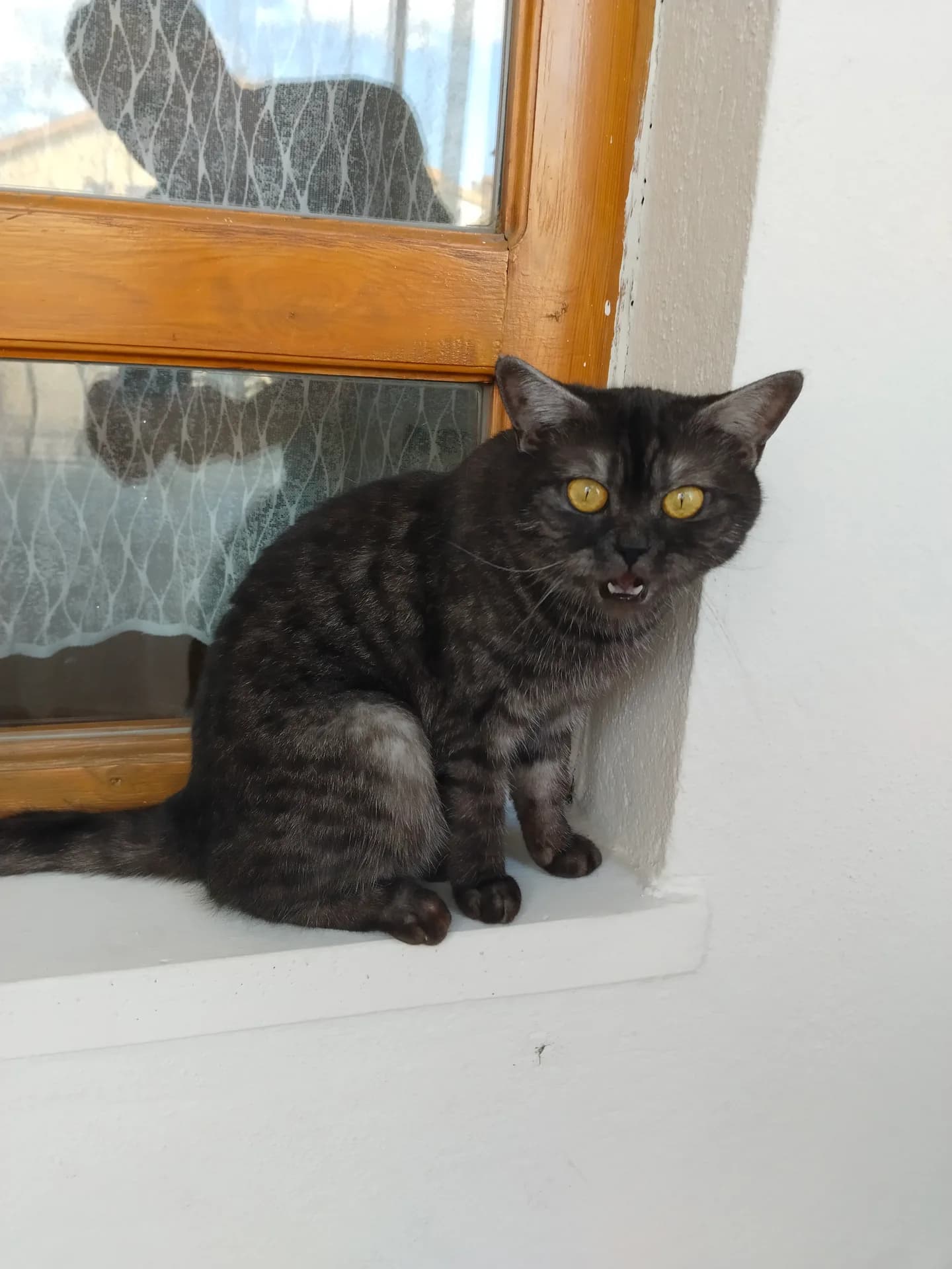 Firuze fotoğraf 2