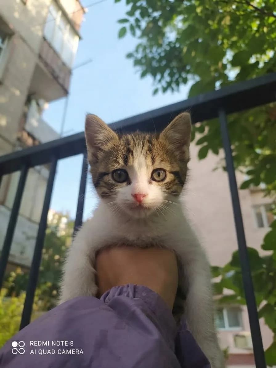 Minnoş fotoğraf 2