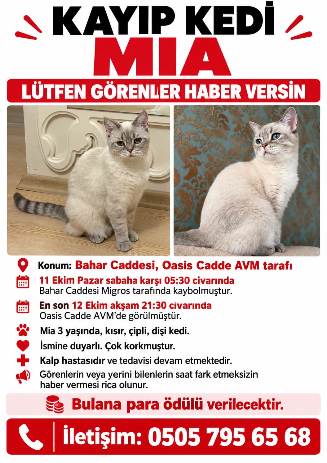 mia fotoğraf 1