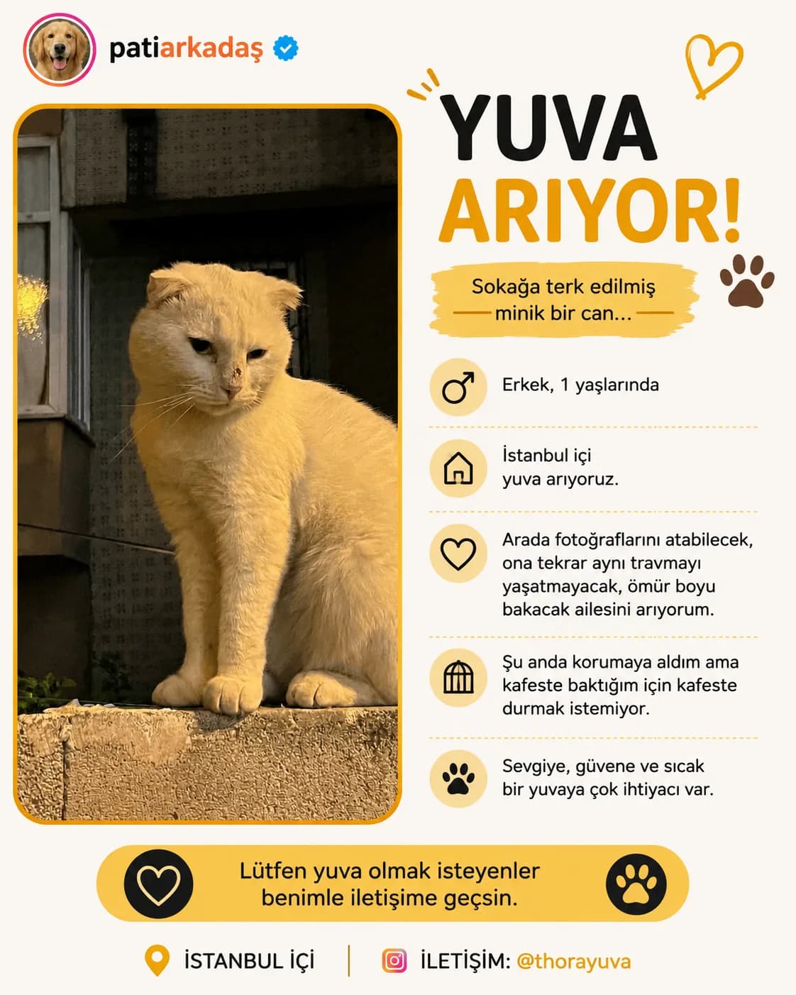 patiarkadaş fotoğraf 1