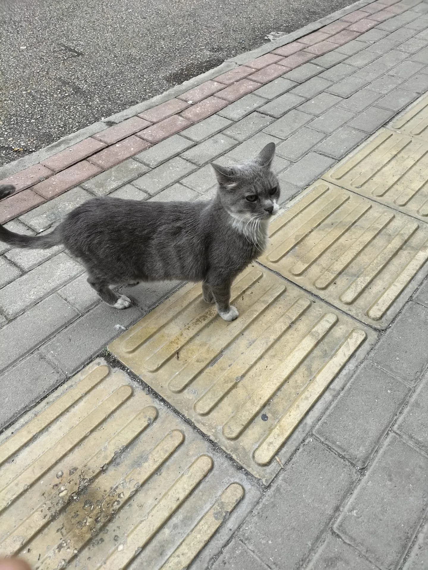 Duman fotoğraf 3