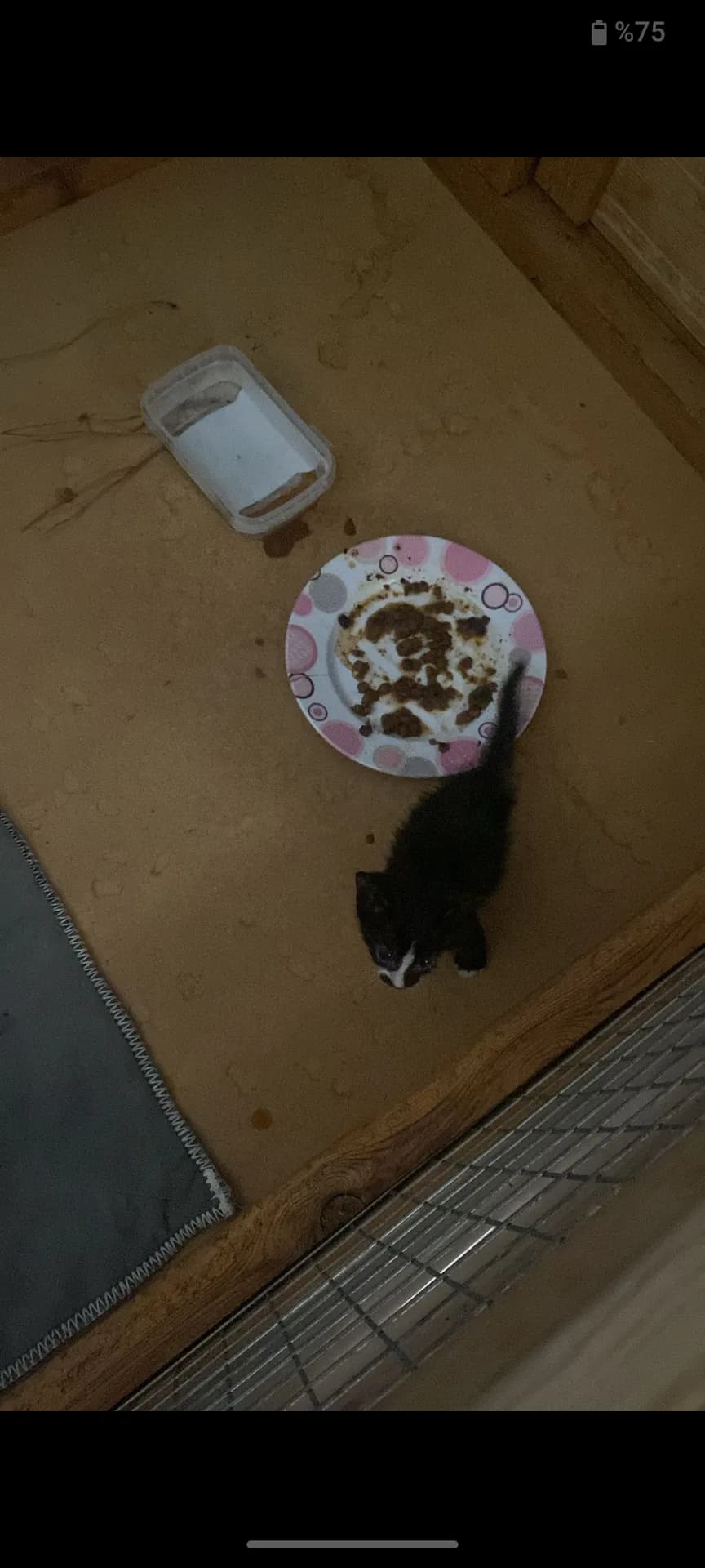 Minik fotoğraf 1