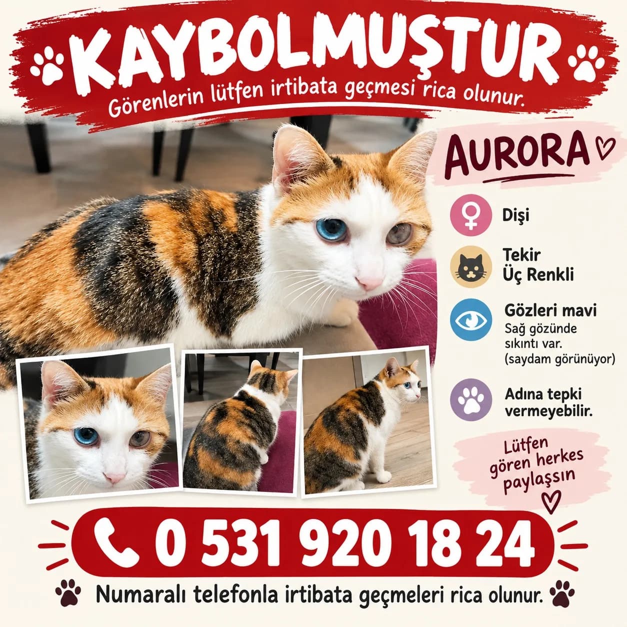 Aurora fotoğraf 1