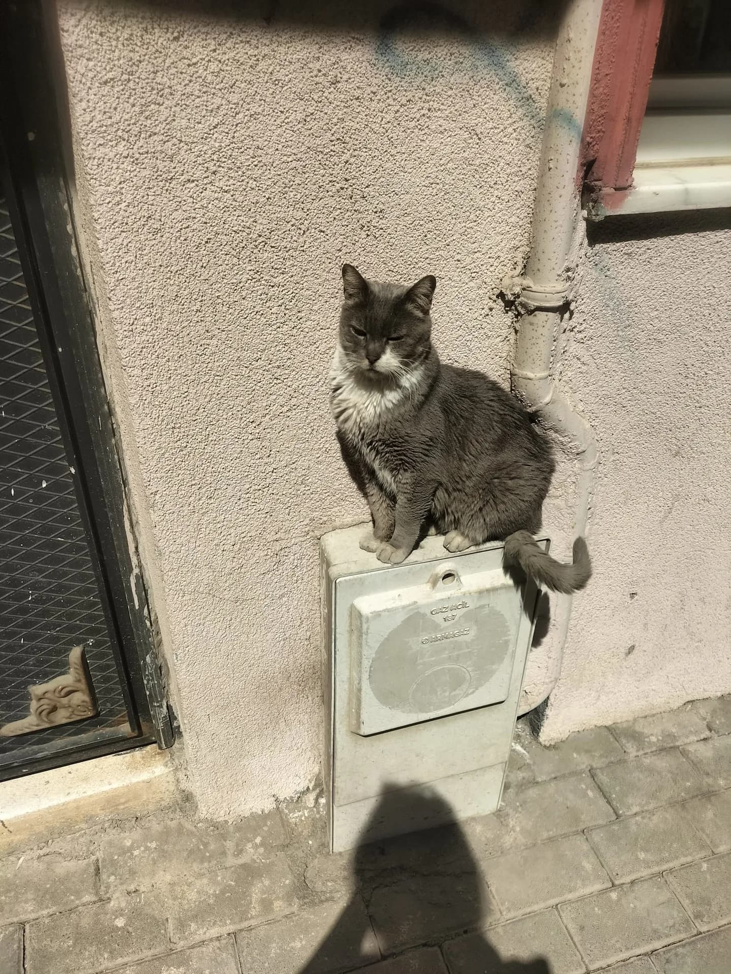 Duman fotoğraf 1