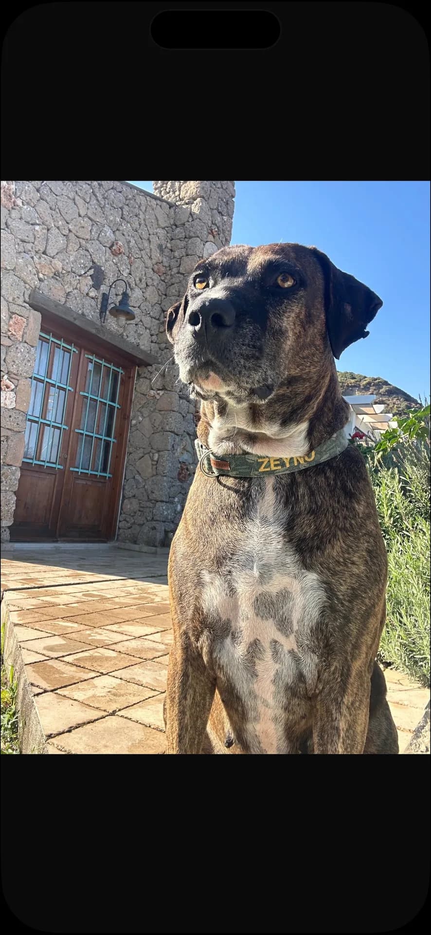 Zeyno fotoğraf 1