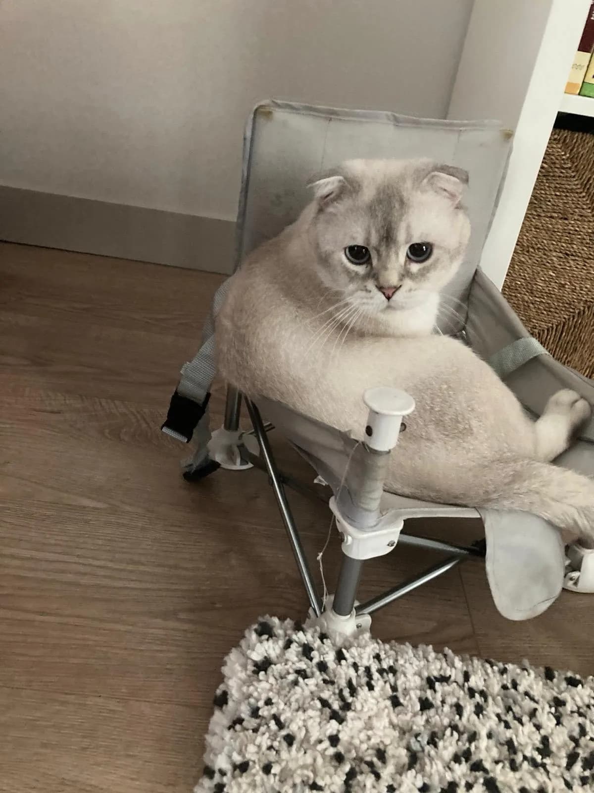 Badem fotoğraf 2