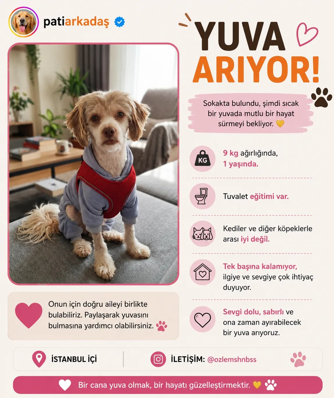 Yok fotoğraf 1