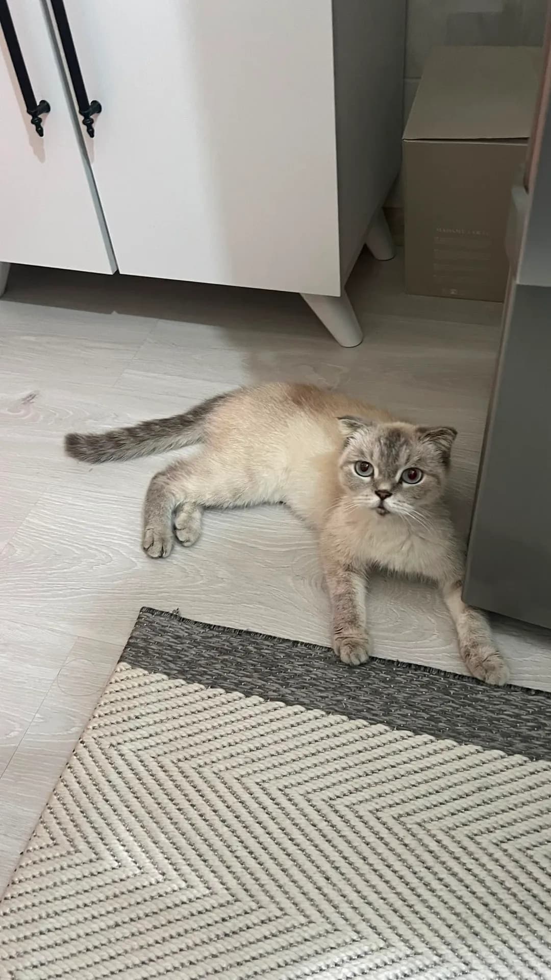 mia fotoğraf 2