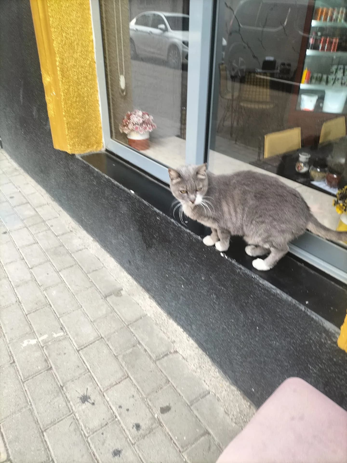 Duman fotoğraf 4