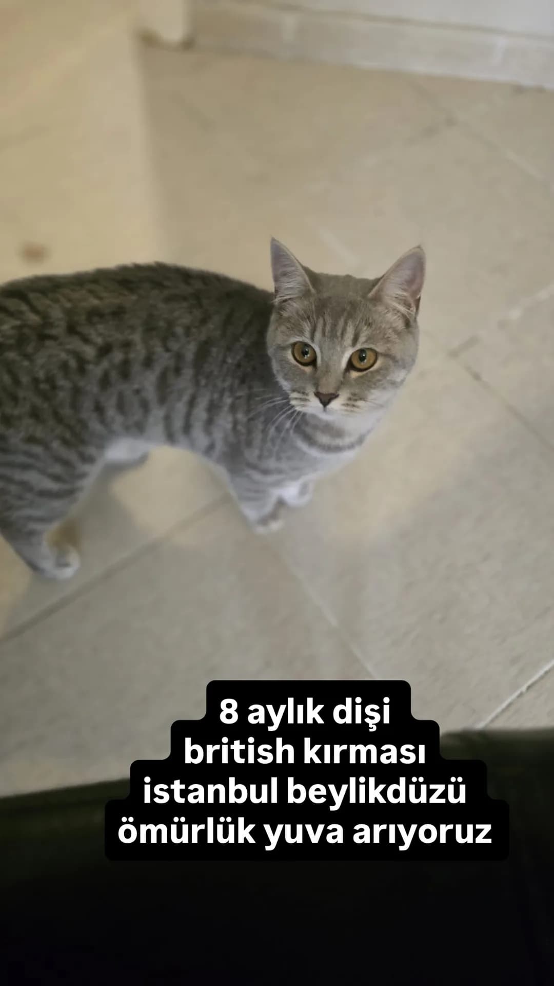 boncuk fotoğraf 1