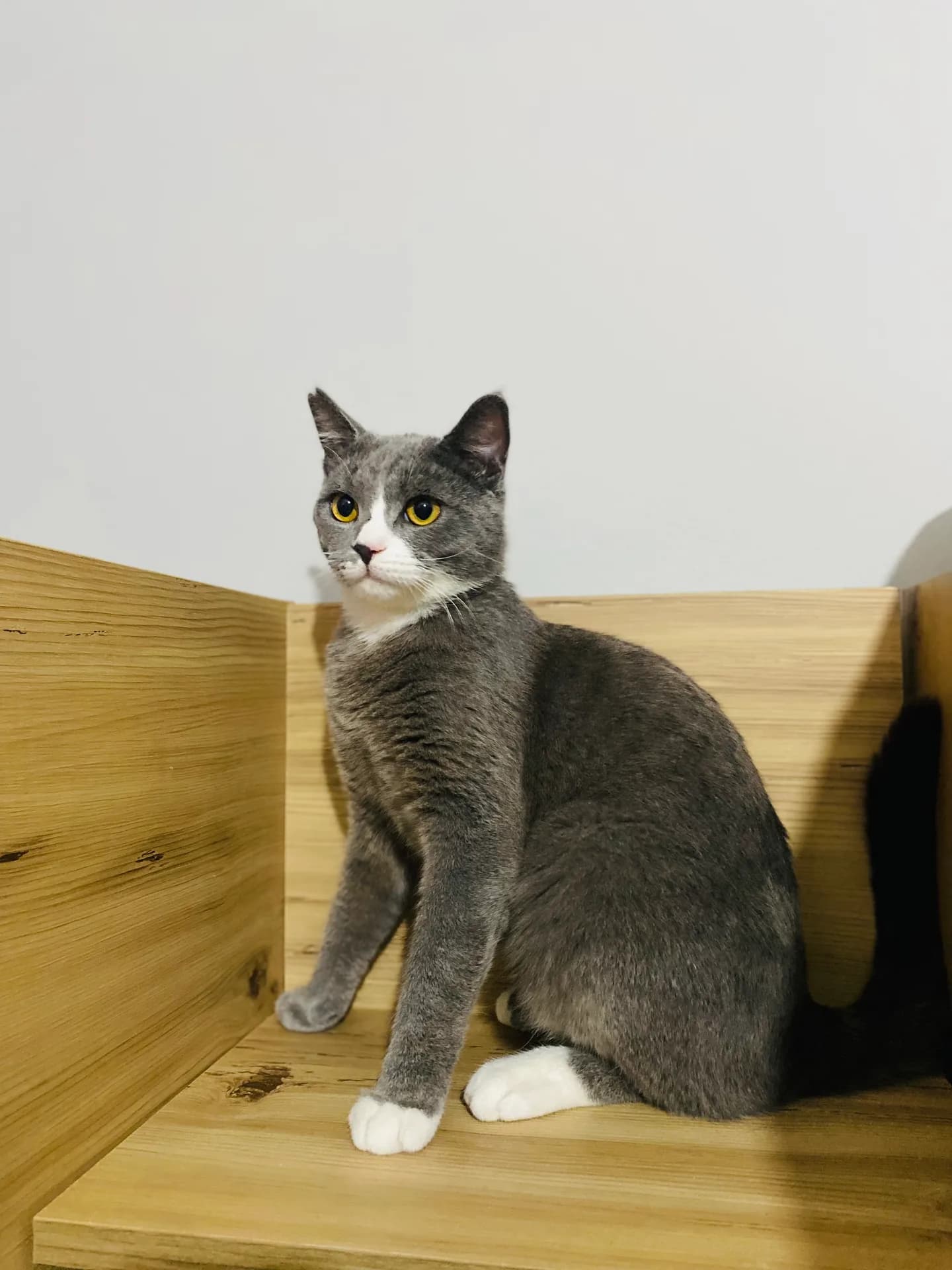 Ares fotoğraf 1