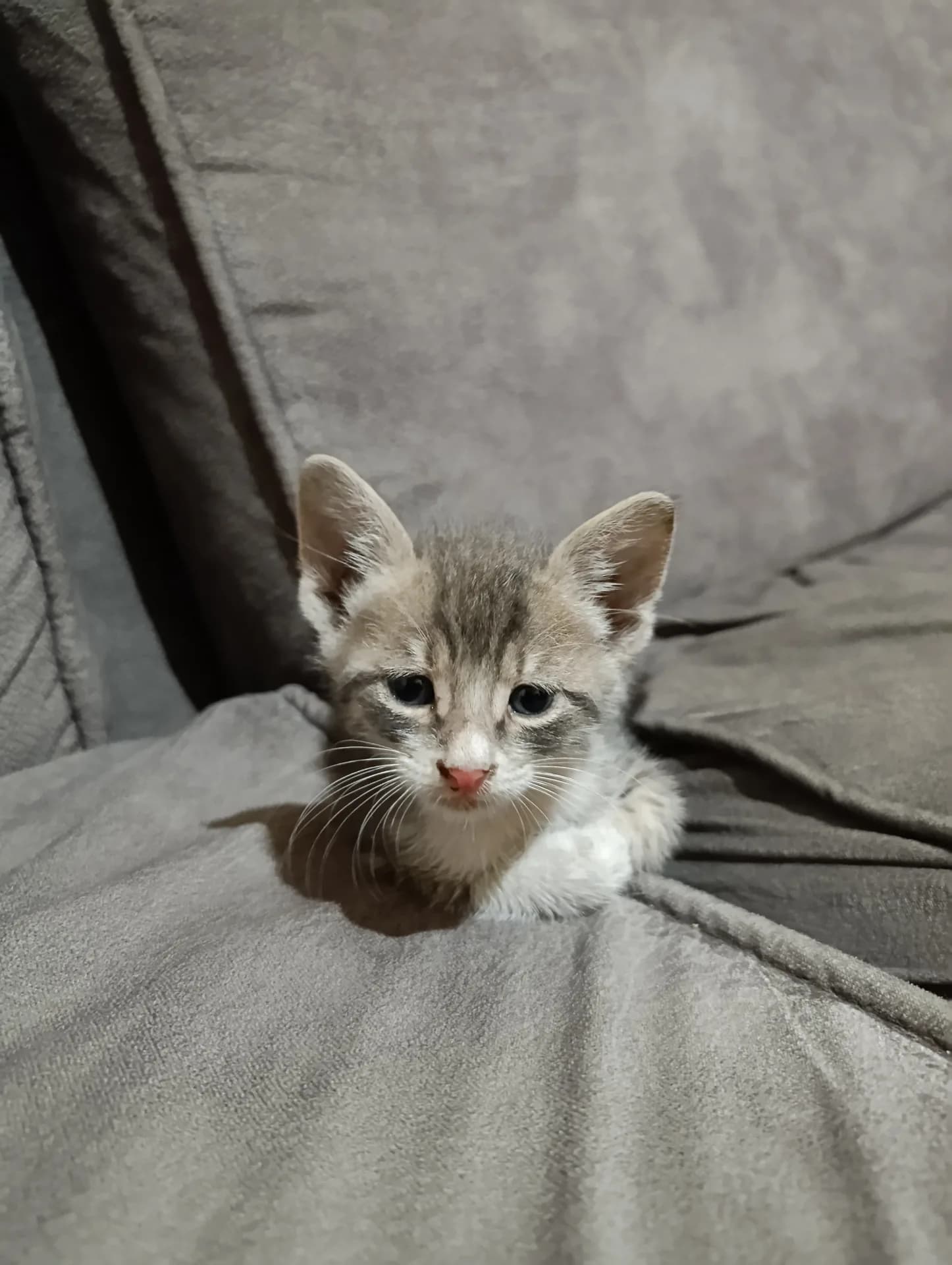 Kirli fotoğraf 3