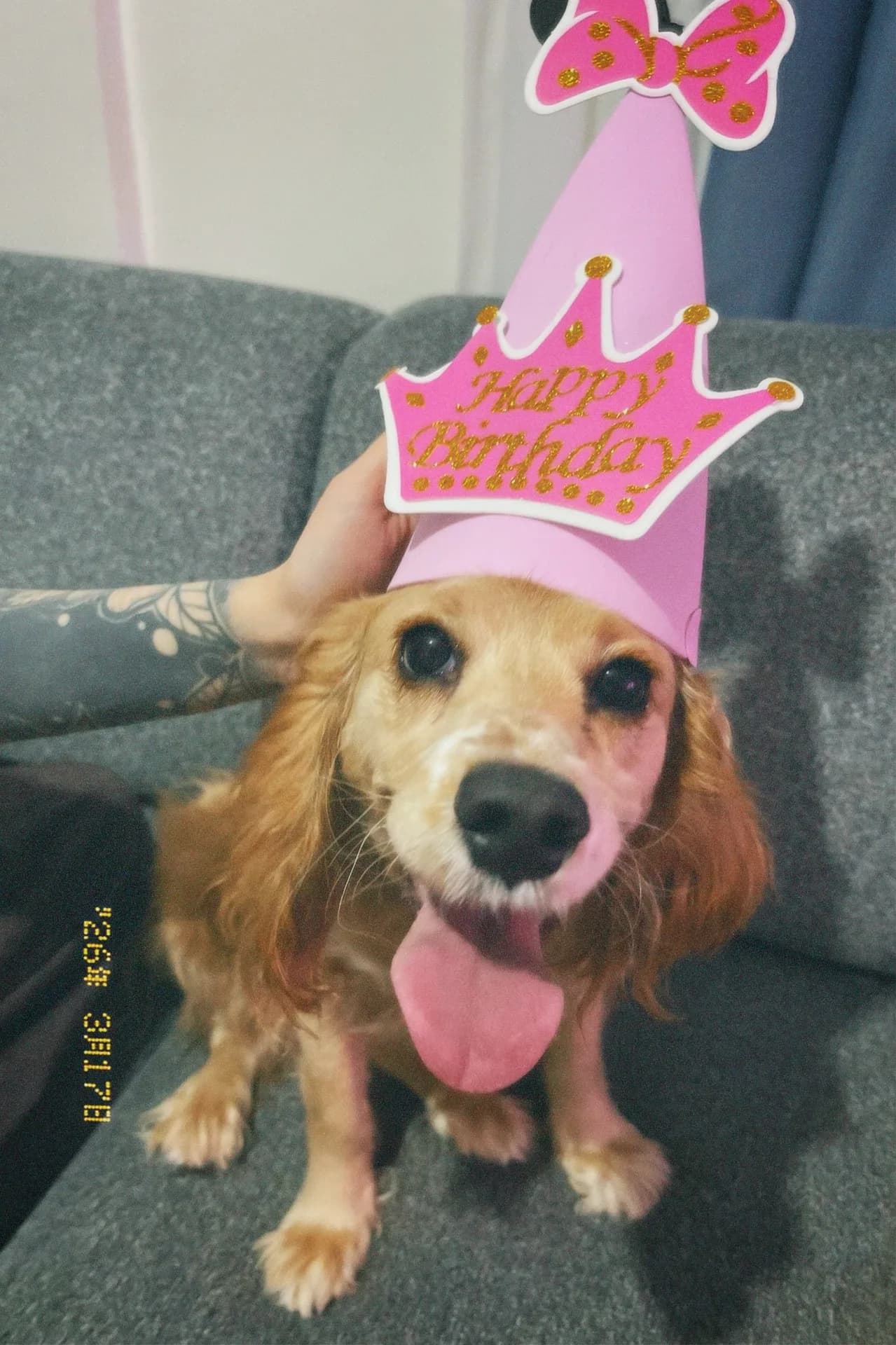 lucy fotoğraf 2