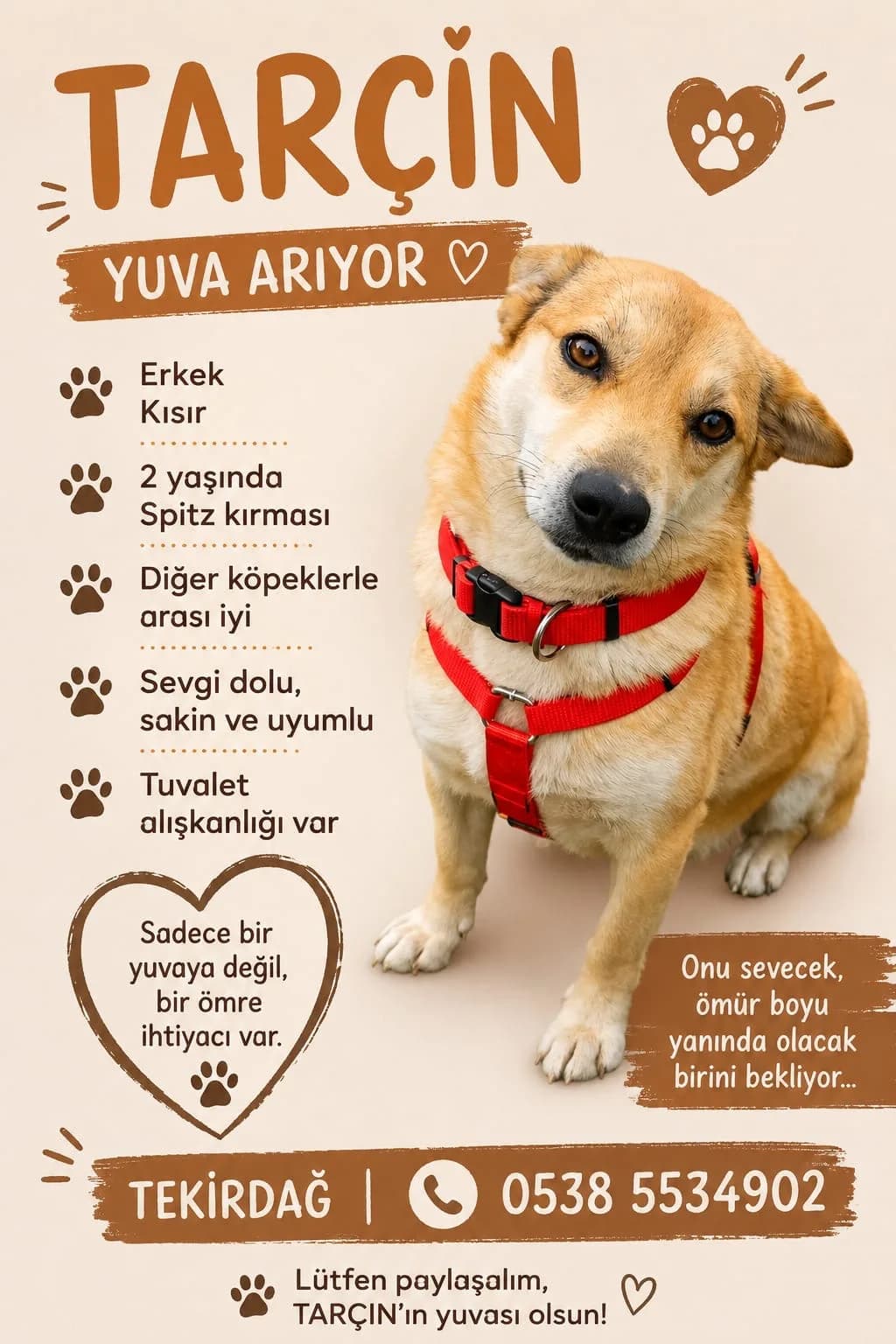 TARÇIN o fotoğraf 1