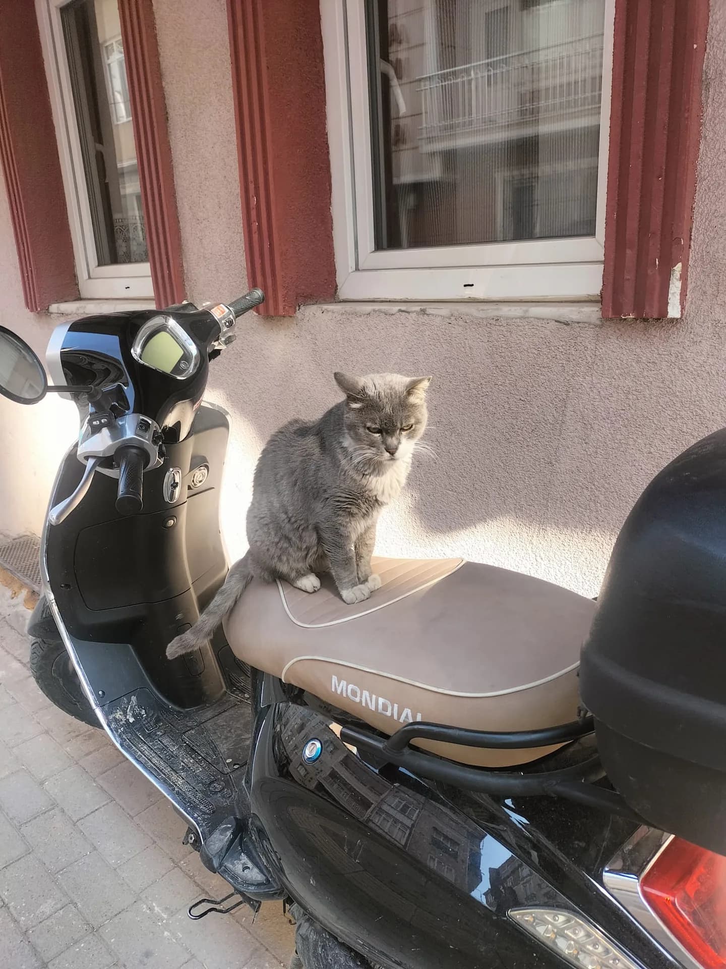 Duman fotoğraf 2