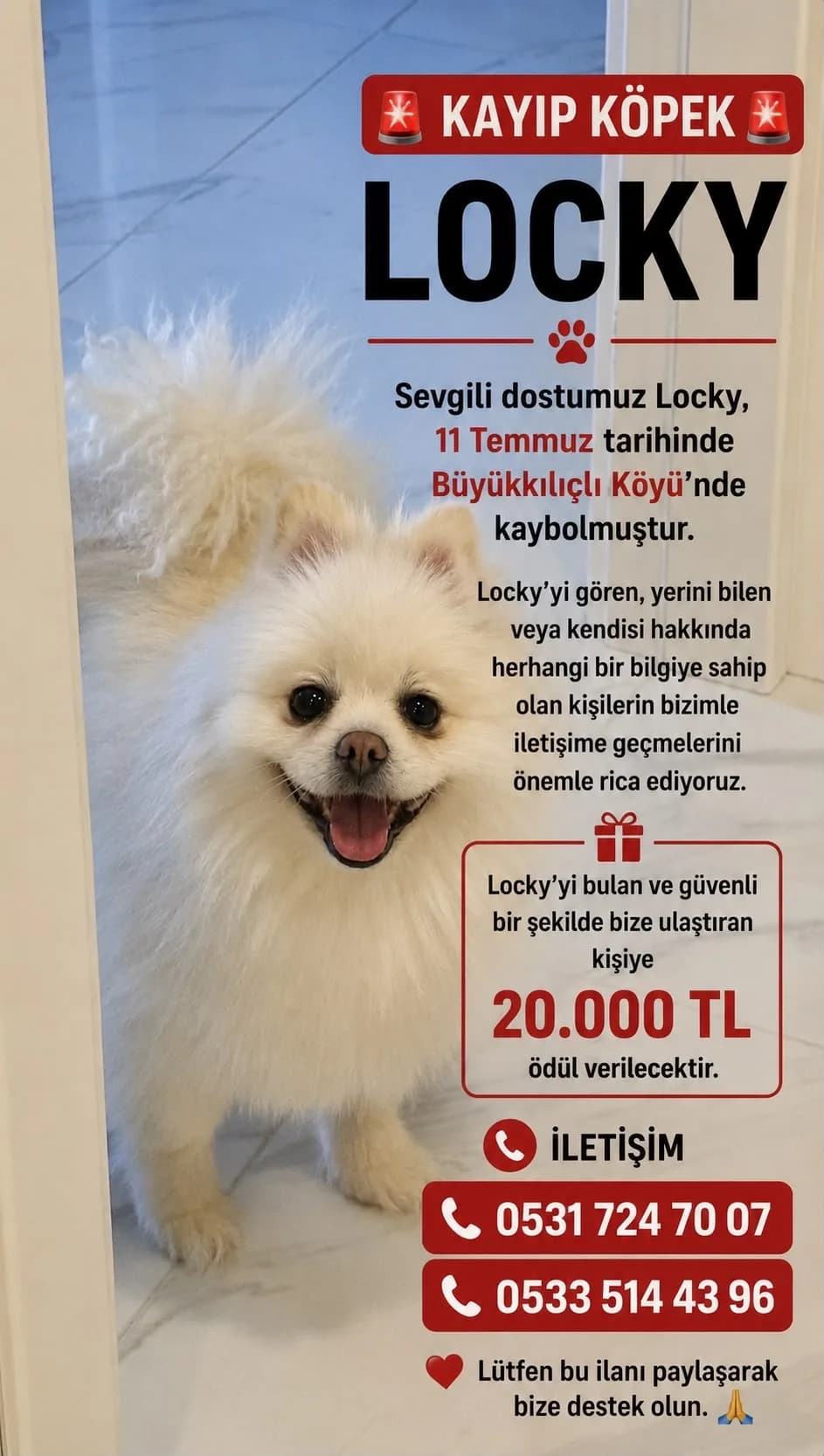 Locky fotoğraf 1