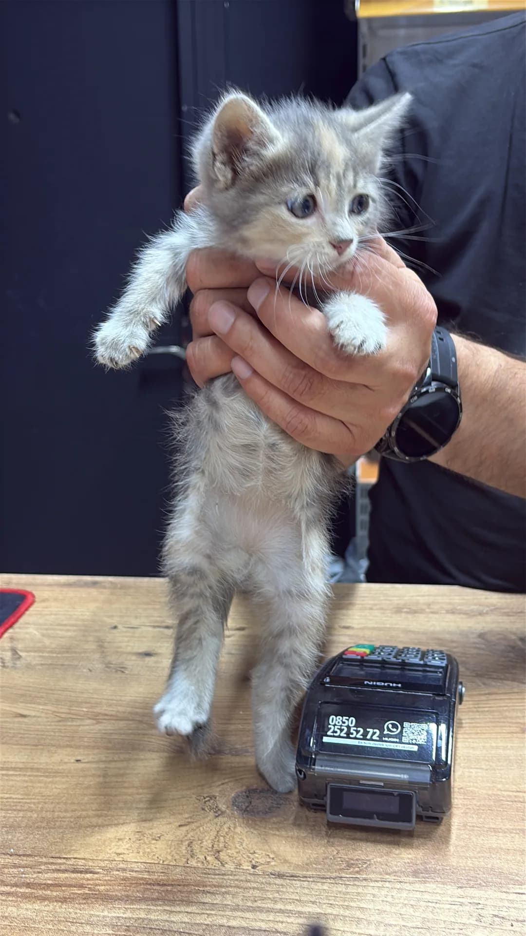 Henüz isimsiz fotoğraf 3