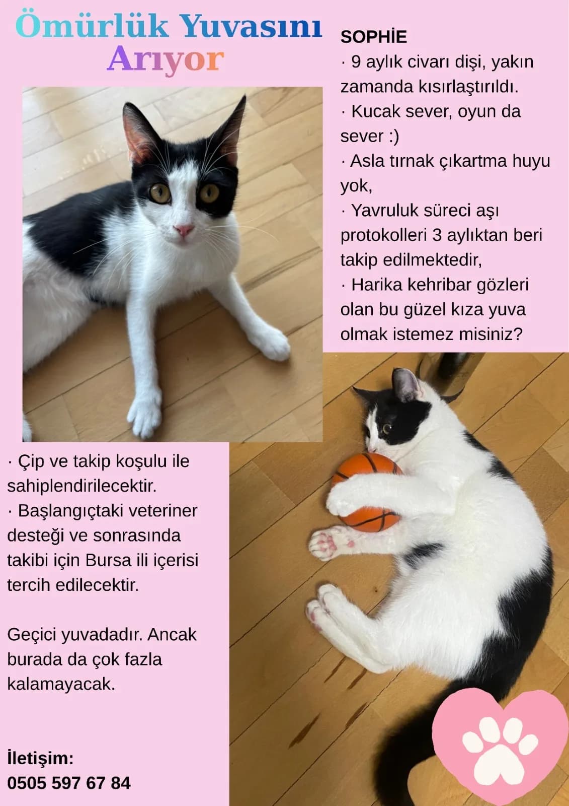 Sophie fotoğraf 1