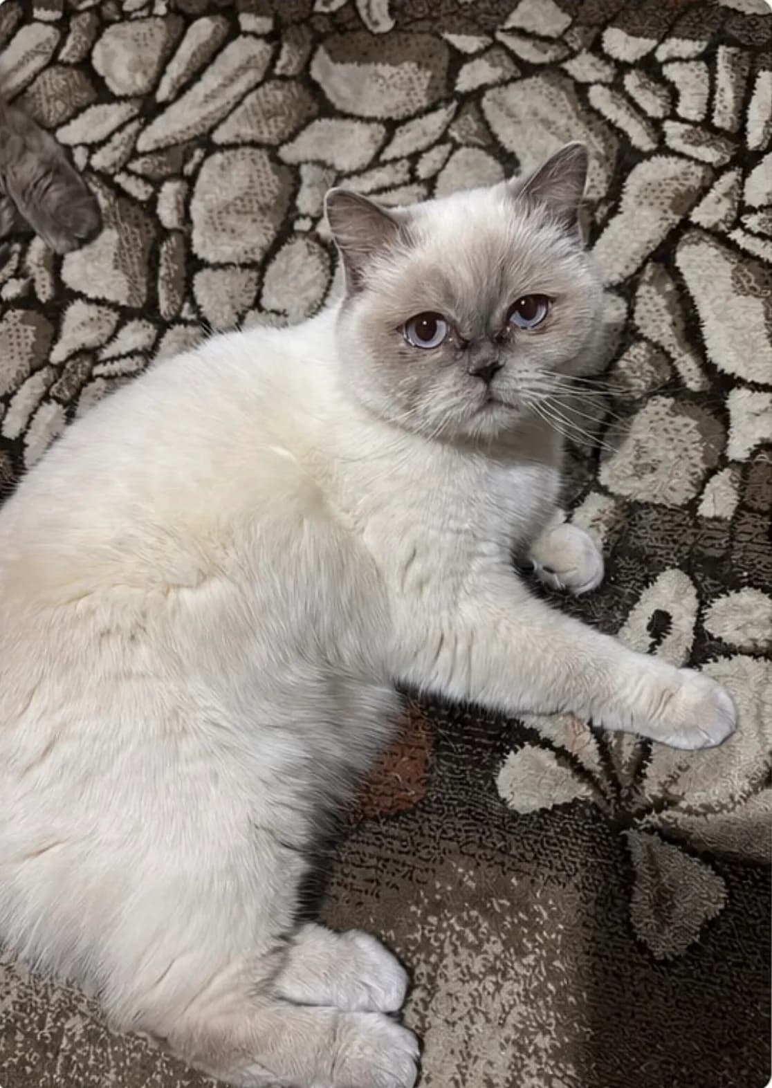 Ada fotoğraf 1