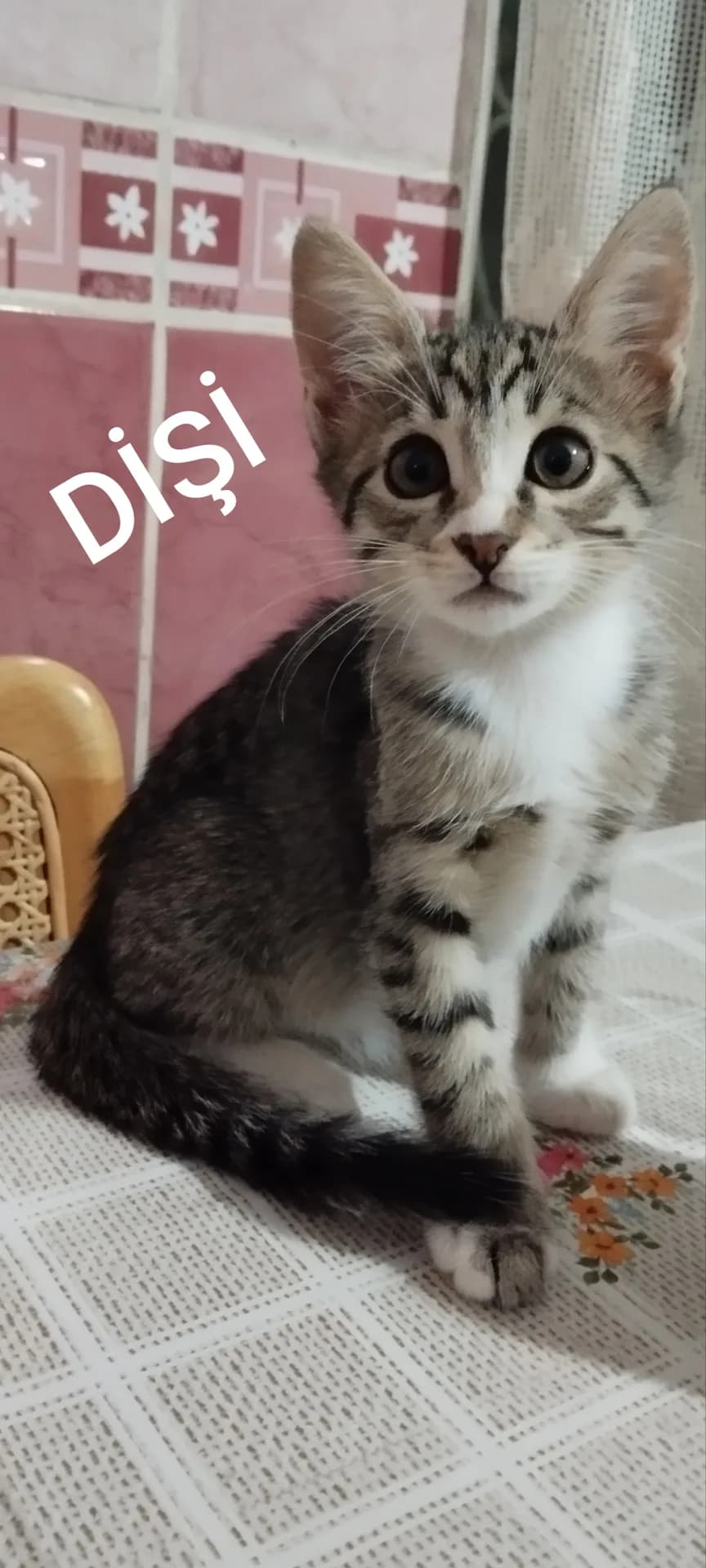 İsimsiz fotoğraf 2