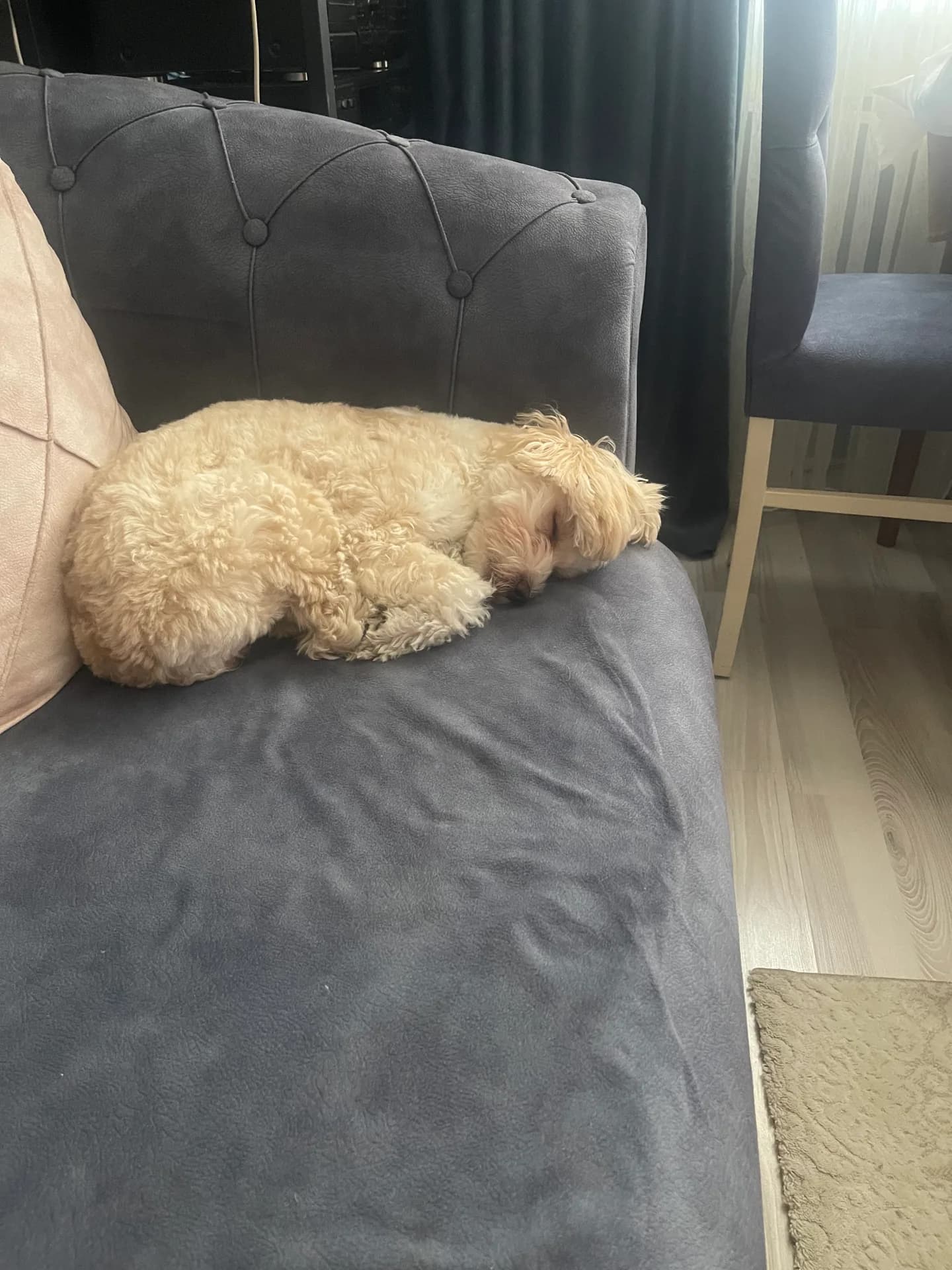 Luna fotoğraf 2