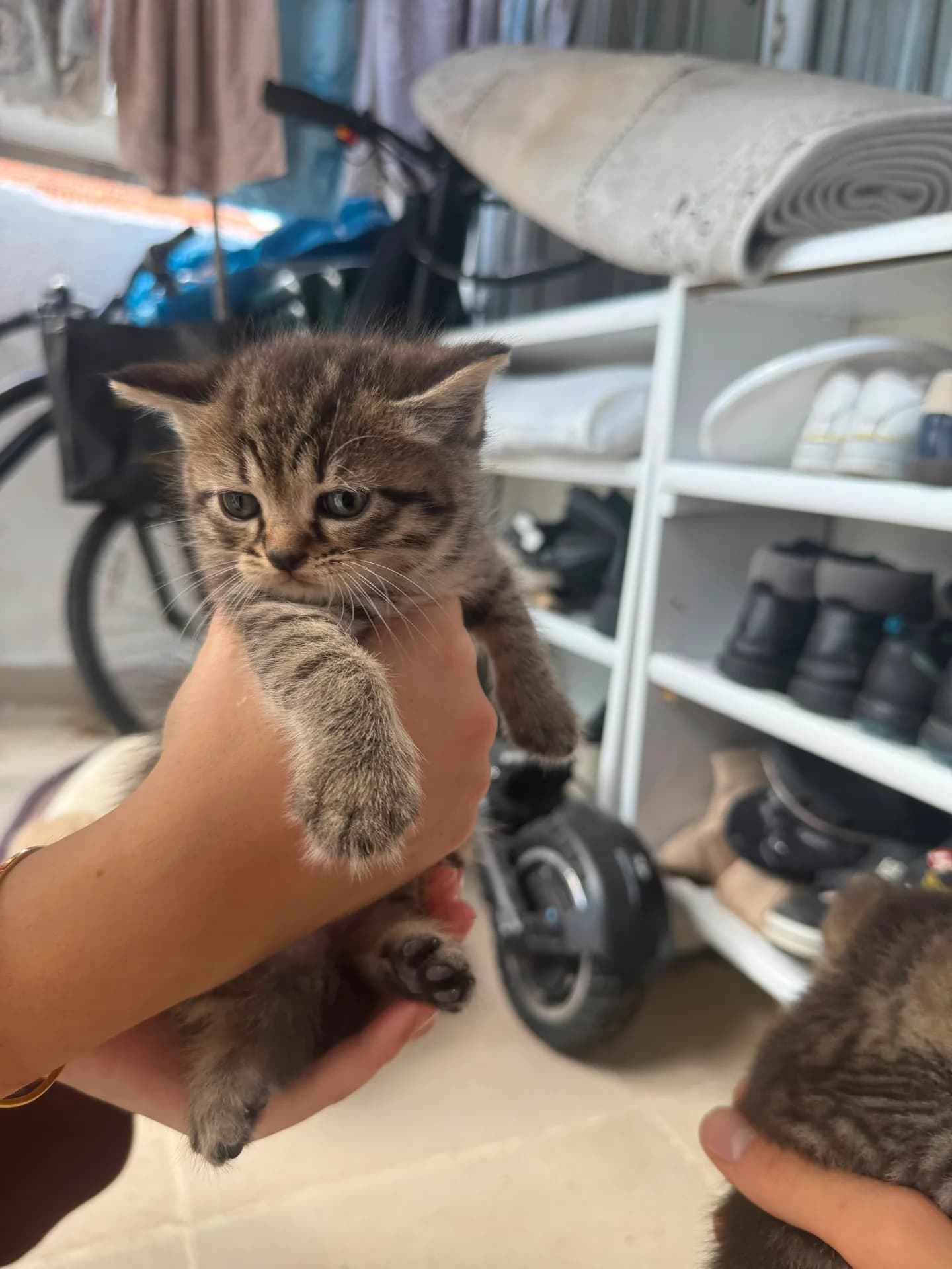 Yeni doğan fotoğraf 1