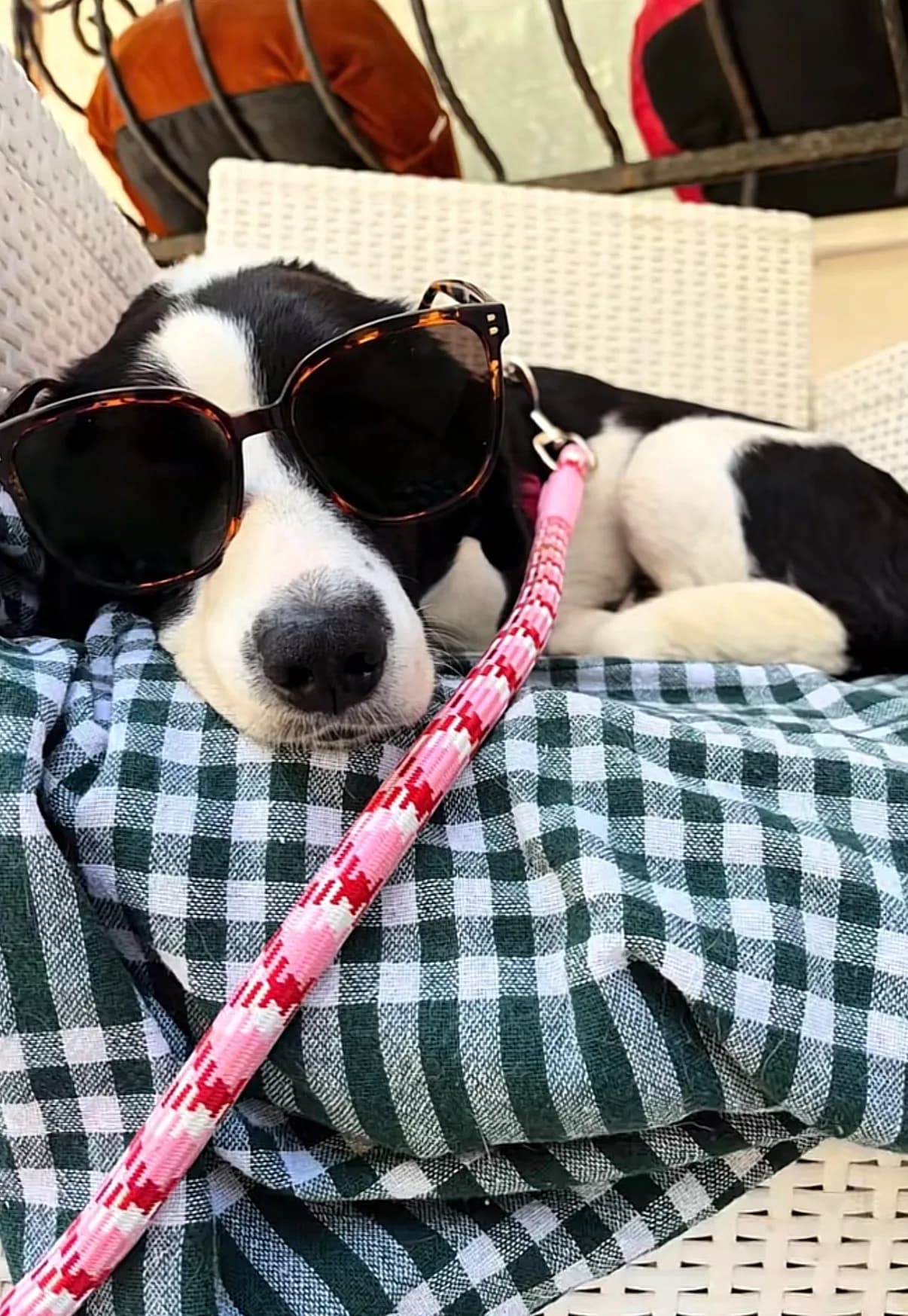 Max fotoğraf 3