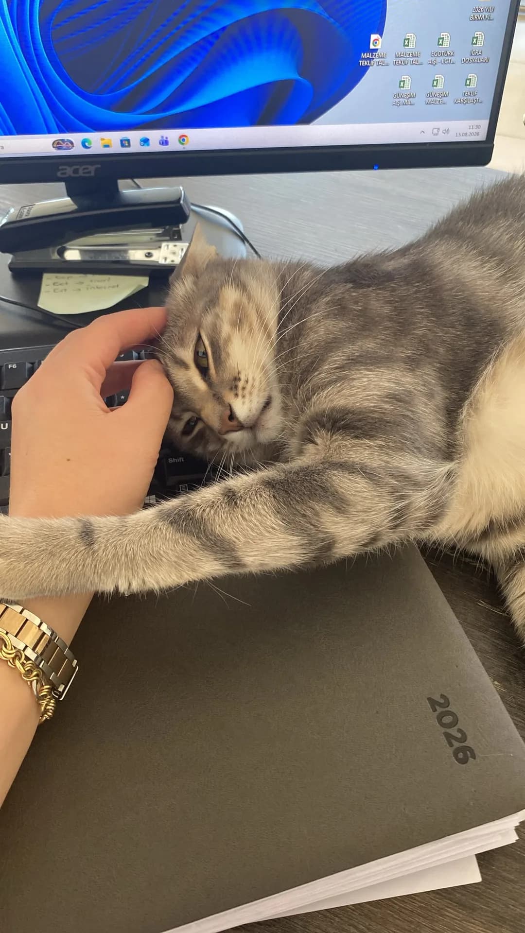 Güneş fotoğraf 2