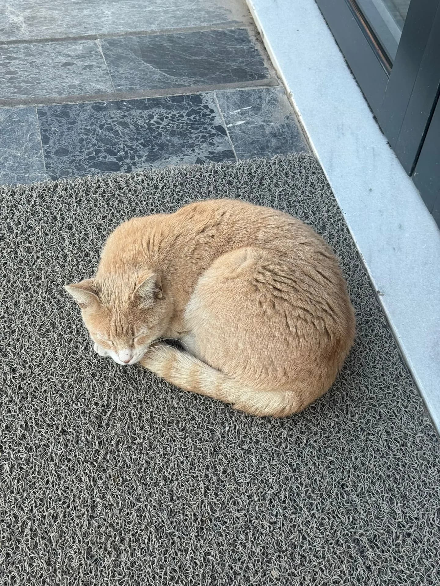 Valore fotoğraf 3
