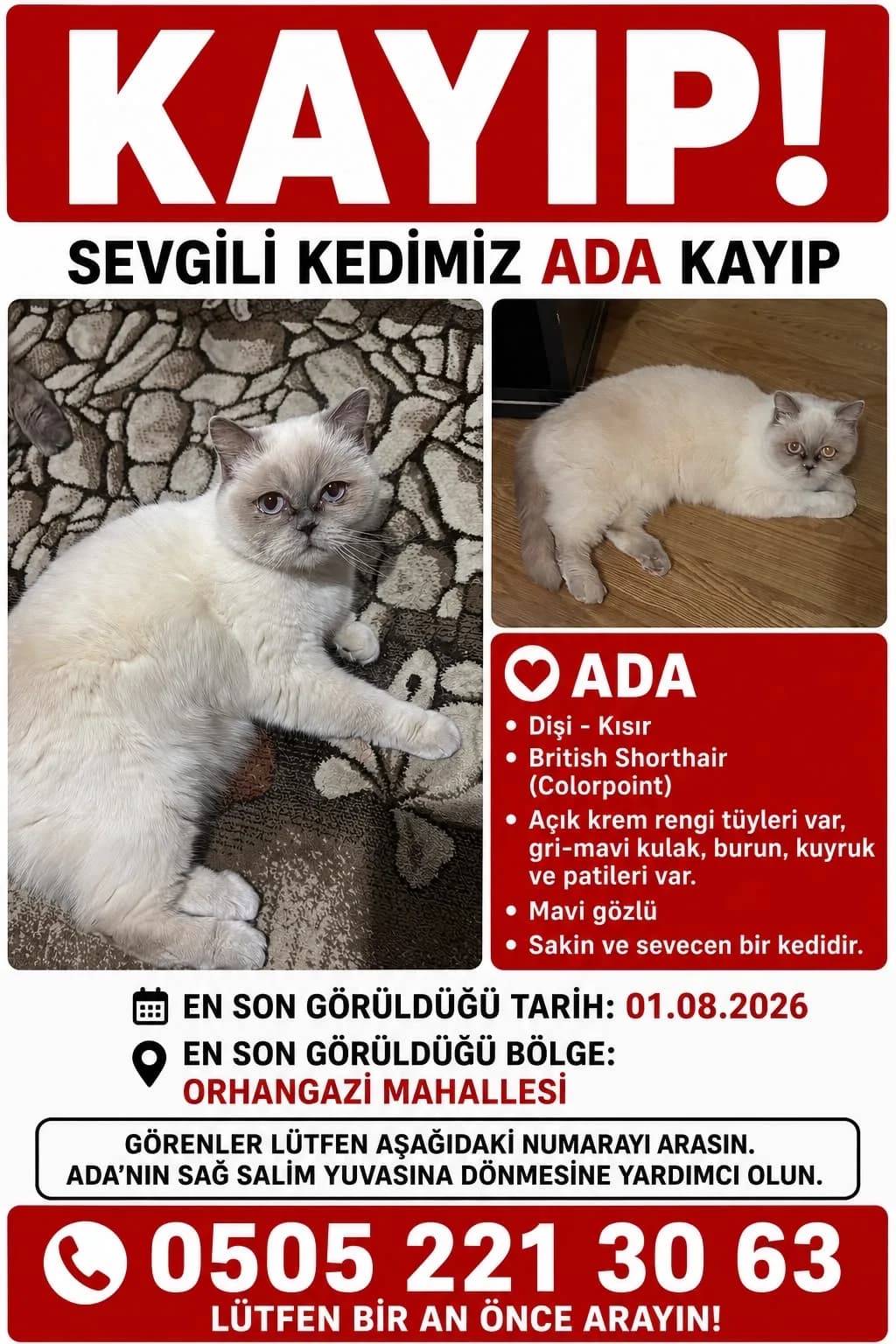 Ada fotoğraf 3