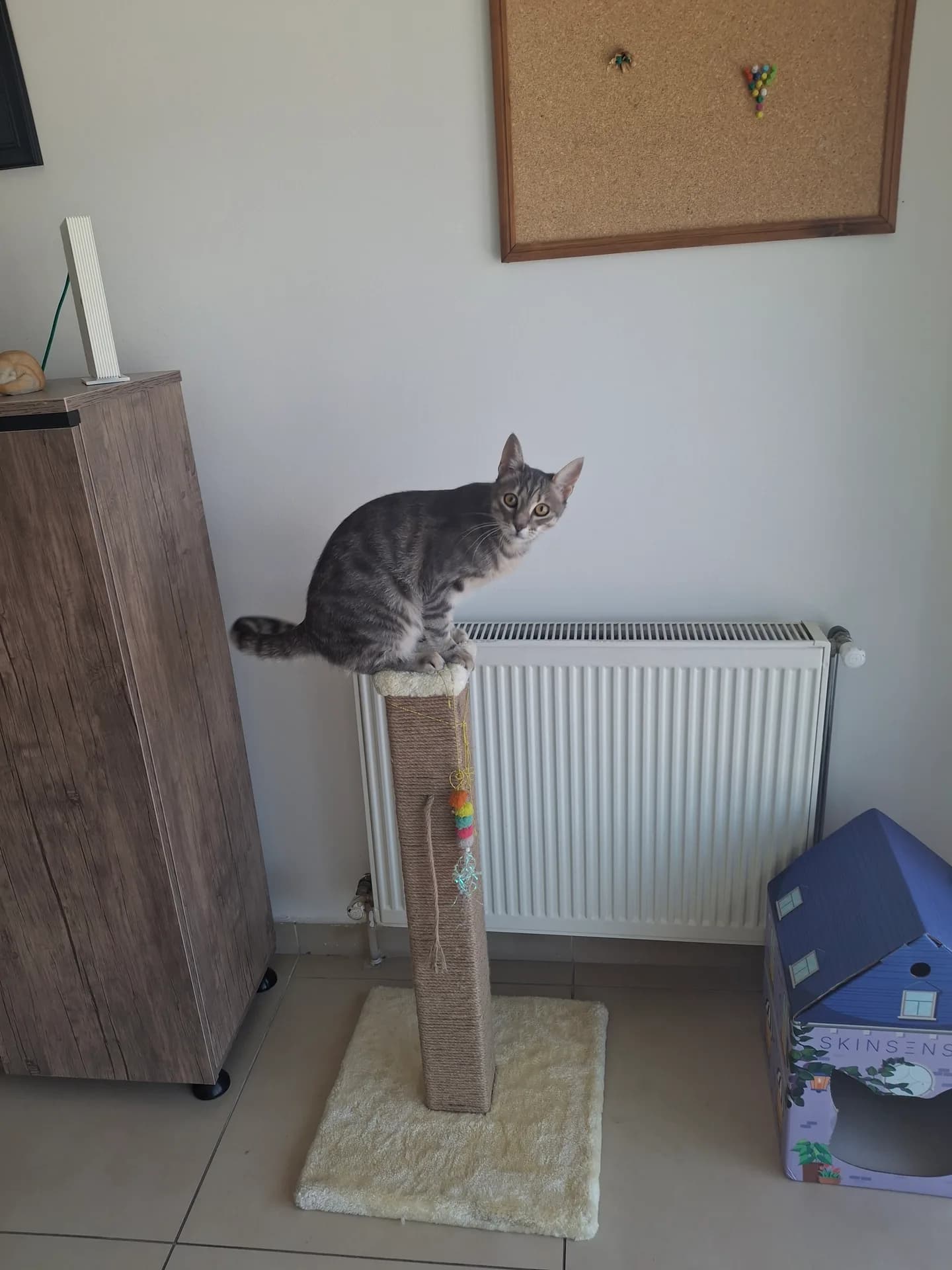 Güneş fotoğraf 3