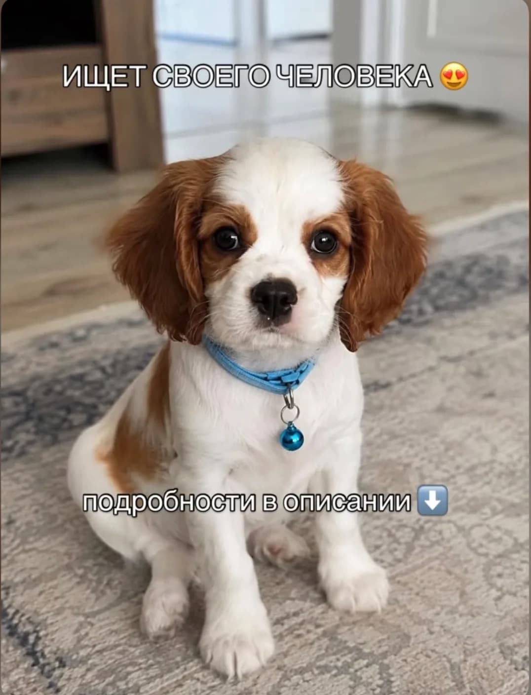 Bilinmiyor fotoğraf 1