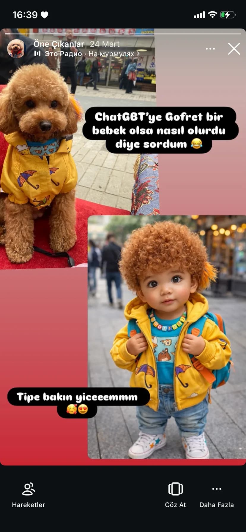 Gofret fotoğraf 2