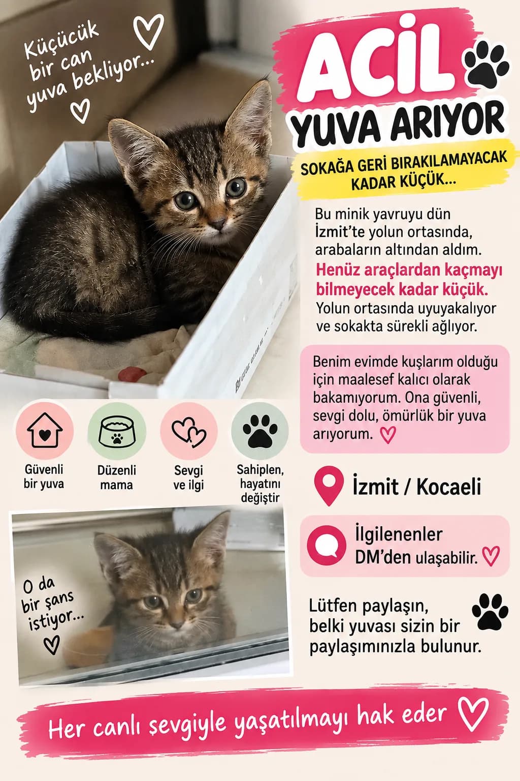 Pırtık fotoğraf 1
