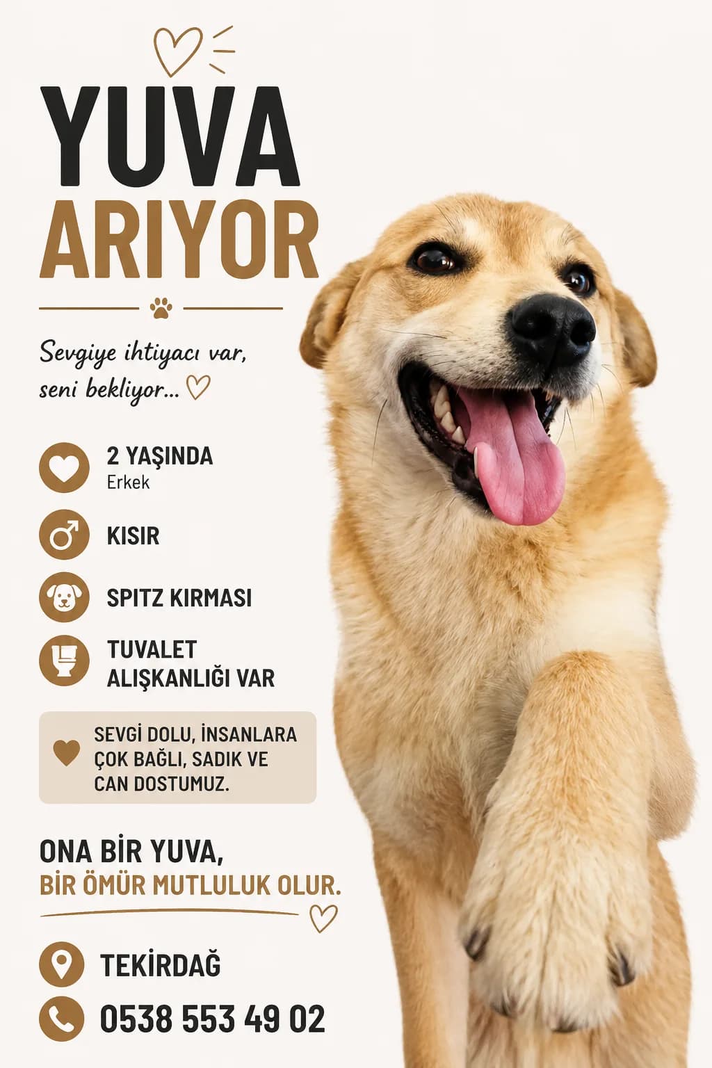 TARÇIN o fotoğraf 3