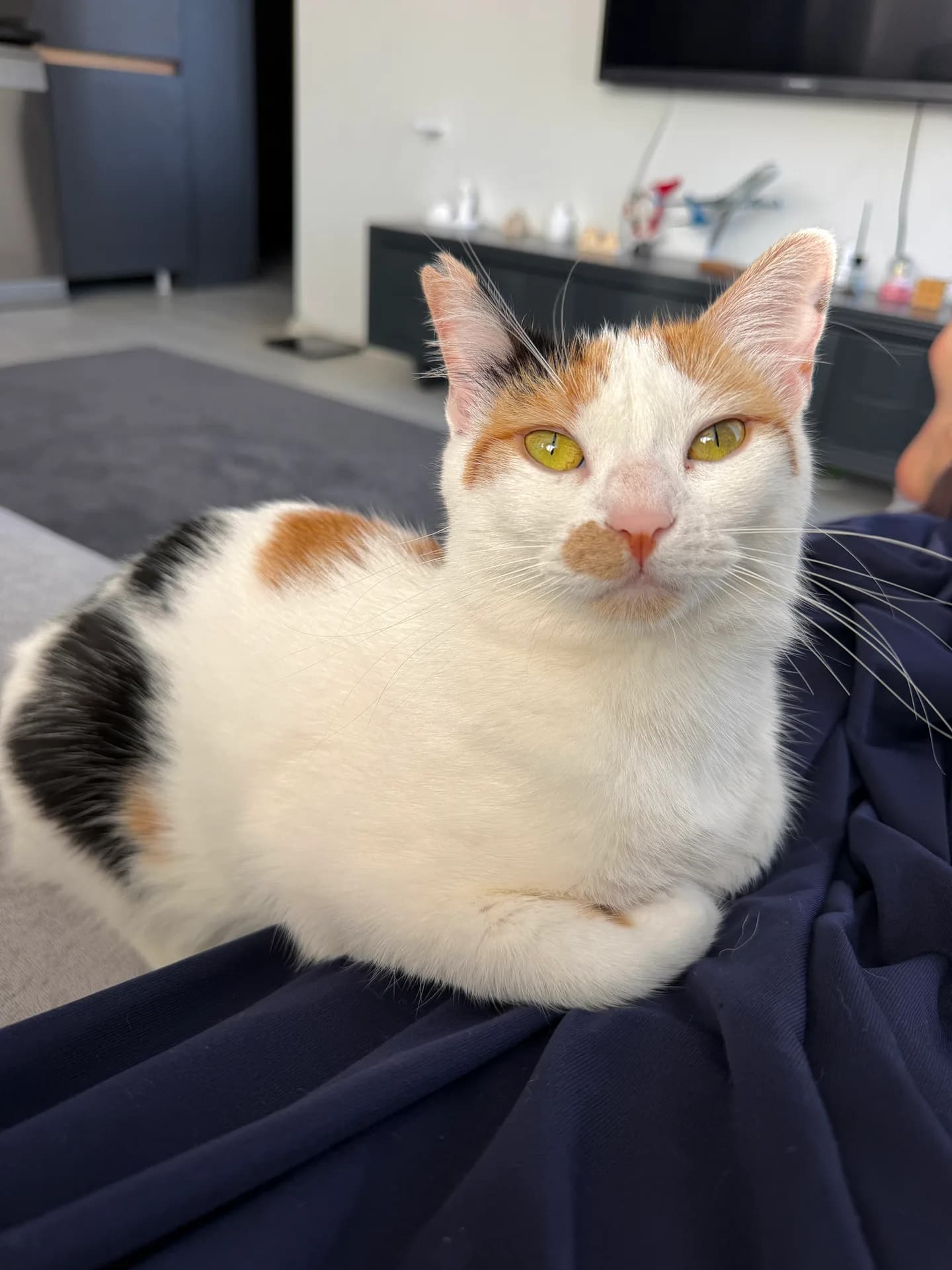 Milka fotoğraf 2
