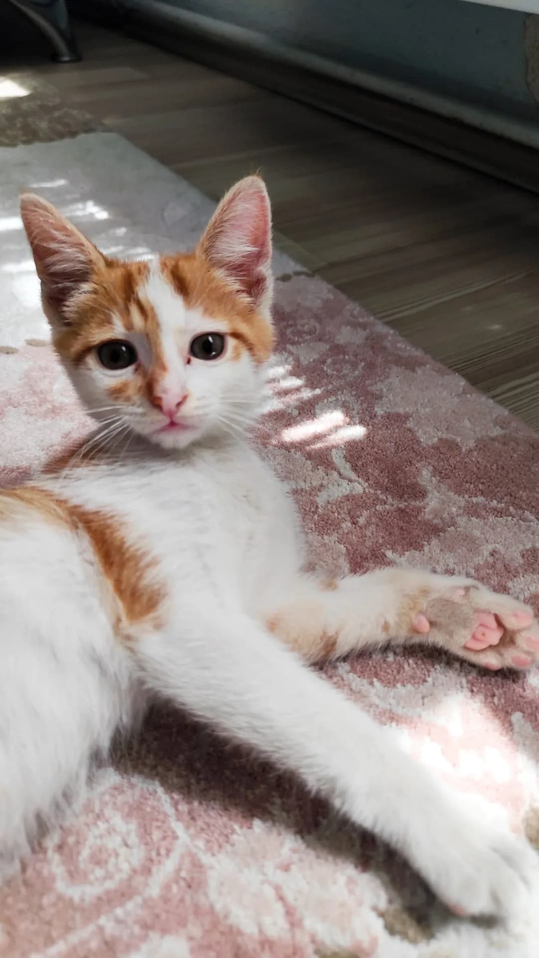 Minik fotoğraf 1