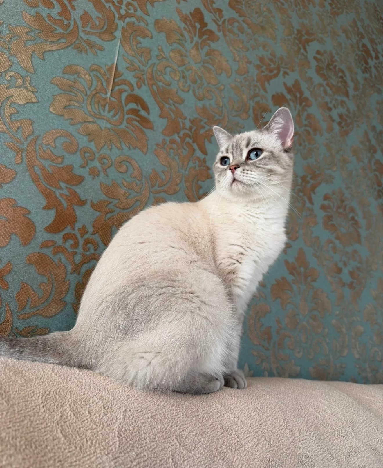 mia fotoğraf 2