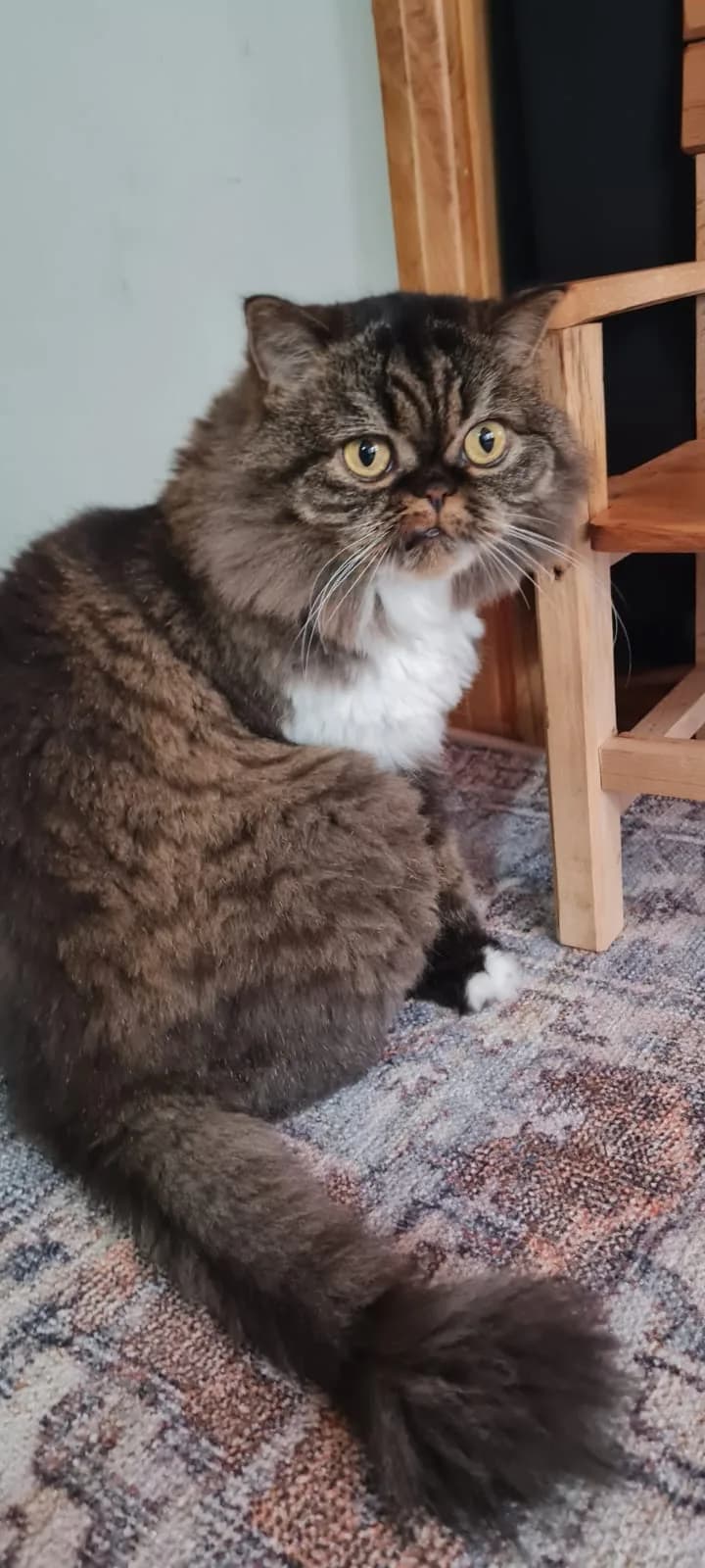 Boncuk fotoğraf 2