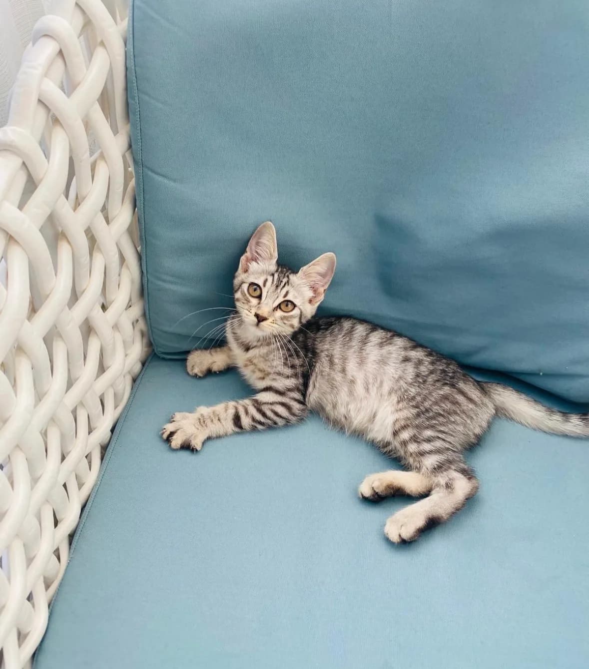 Lilya fotoğraf 1