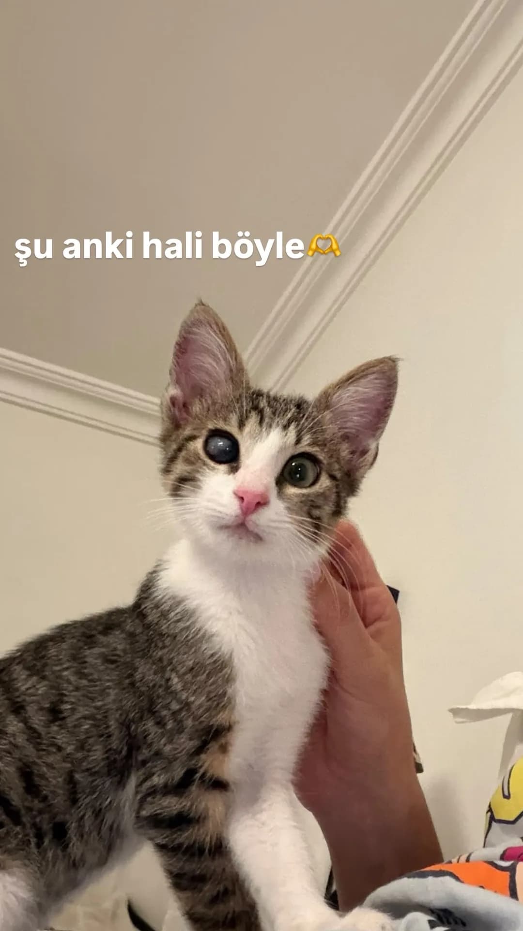 Korsan fotoğraf 1